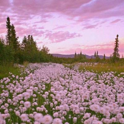 天健棋牌app下载